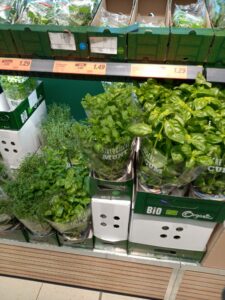 Biologische kruidenplantjes van de Lidl